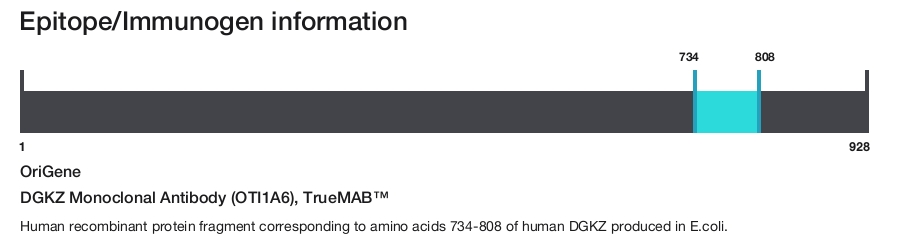 DGKZ Monoclonal Antibody (OTI1A6), TrueMAB&trade;