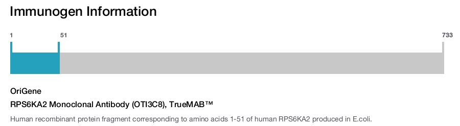 RPS6KA2 Monoclonal Antibody (OTI3C8), TrueMAB&trade;
