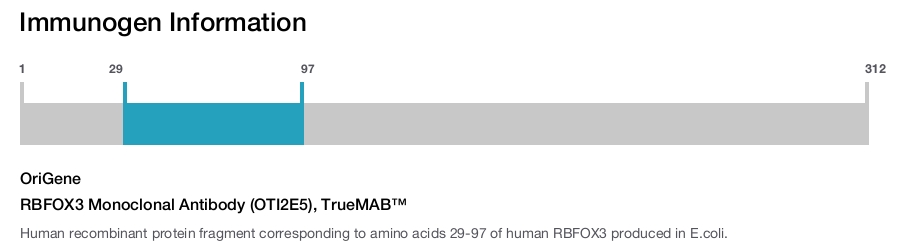 RBFOX3 Monoclonal Antibody (OTI2E5), TrueMAB&trade;