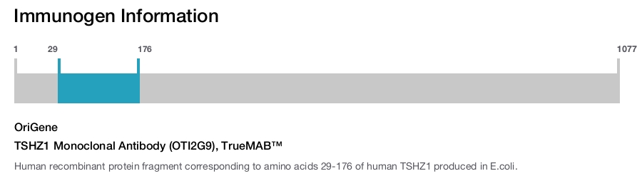 TSHZ1 Monoclonal Antibody (OTI2G9), TrueMAB&trade;