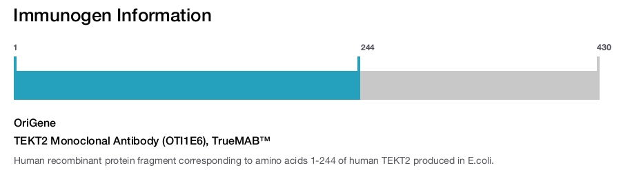 TEKT2 Monoclonal Antibody (OTI1E6), TrueMAB&trade;