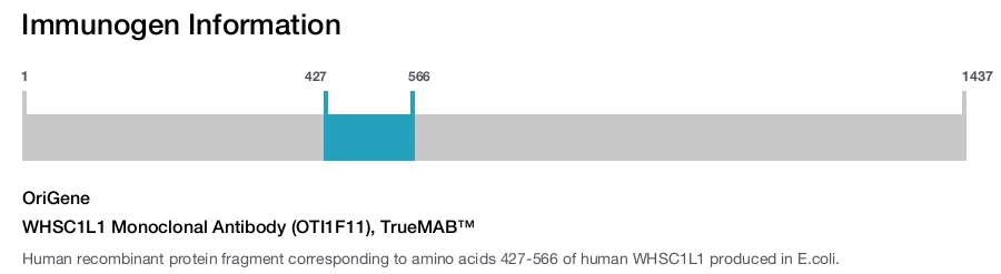 WHSC1L1 Monoclonal Antibody (OTI1F11), TrueMAB™