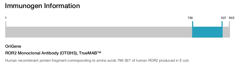 ROR2 Monoclonal Antibody (OTI3H3), TrueMAB&trade;