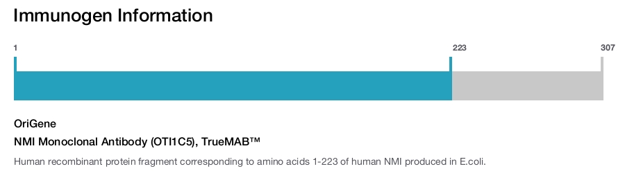 NMI Monoclonal Antibody (OTI1C5), TrueMAB&trade;