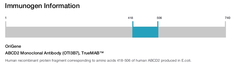 ABCD2 Monoclonal Antibody (OTI3B7), TrueMAB&trade;