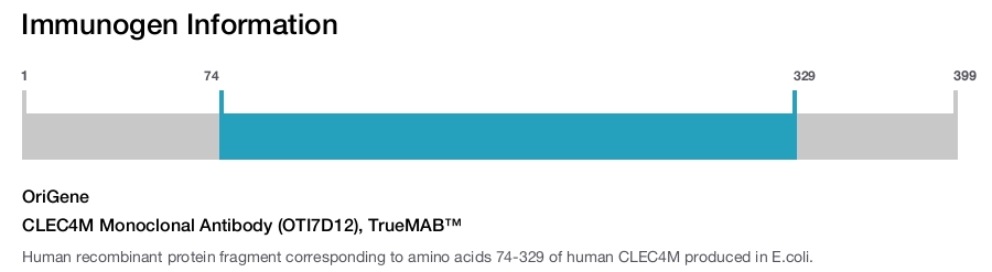 CLEC4M Monoclonal Antibody (OTI7D12), TrueMAB&trade;