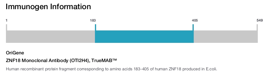 ZNF18 Monoclonal Antibody (OTI2H4), TrueMAB&trade;