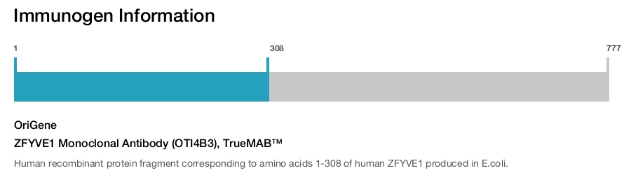 ZFYVE1 Monoclonal Antibody (OTI4B3), TrueMAB&trade;