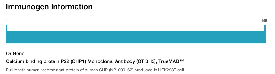 Calcium binding protein P22 (CHP1) Monoclonal Antibody (OTI3H3), TrueMAB&trade;