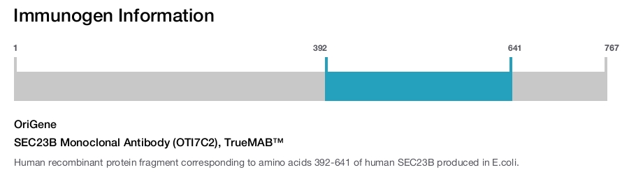 SEC23B Monoclonal Antibody (OTI7C2), TrueMAB&trade;