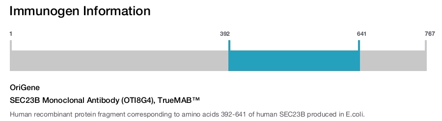 SEC23B Monoclonal Antibody (OTI8G4), TrueMAB&trade;