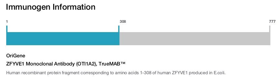 ZFYVE1 Monoclonal Antibody (OTI1A2), TrueMAB&trade;