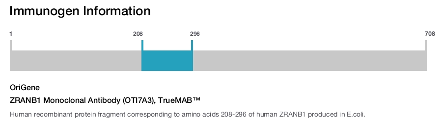 ZRANB1 Monoclonal Antibody (OTI7A3), TrueMAB&trade;