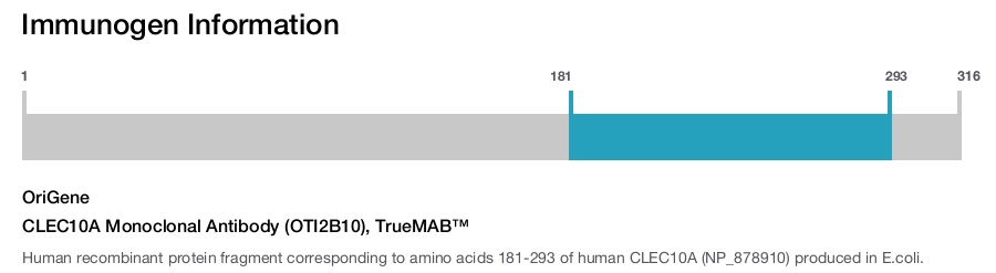 CLEC10A Monoclonal Antibody (OTI2B10), TrueMAB&trade;