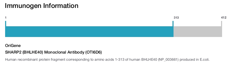 SHARP2 (BHLHE40) Monoclonal Antibody (OTI6D6)