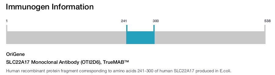 SLC22A17 Monoclonal Antibody (OTI2D6), TrueMAB&trade;