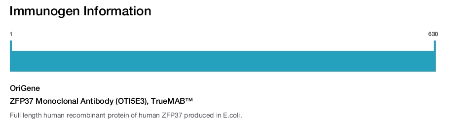 ZFP37 Monoclonal Antibody (OTI5E3), TrueMAB&trade;