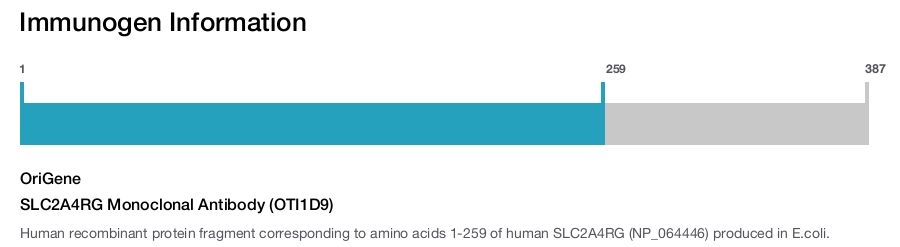 SLC2A4RG Monoclonal Antibody (OTI1D9)