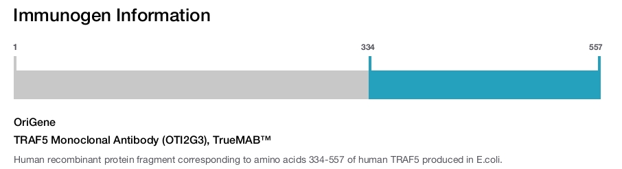 TRAF5 Monoclonal Antibody (OTI2G3), TrueMAB&trade;