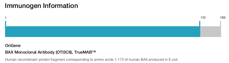 BAX Monoclonal Antibody (OTI3C8), TrueMAB&trade;