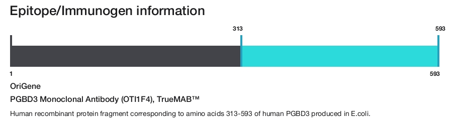PGBD3 Monoclonal Antibody (OTI1F4), TrueMAB&trade;