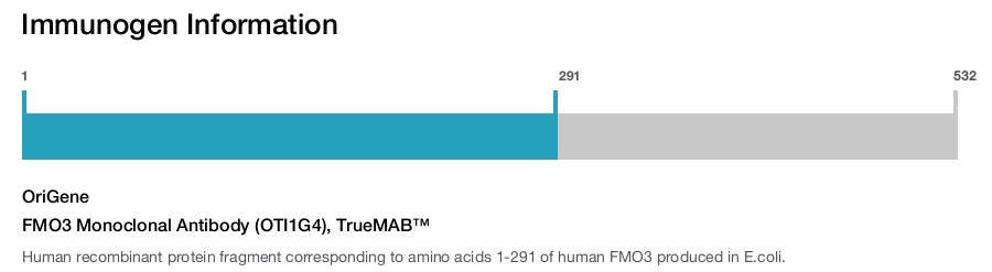 FMO3 Monoclonal Antibody (OTI1G4), TrueMAB&trade;