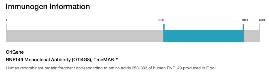 RNF149 Monoclonal Antibody (OTI4G8), TrueMAB&trade;