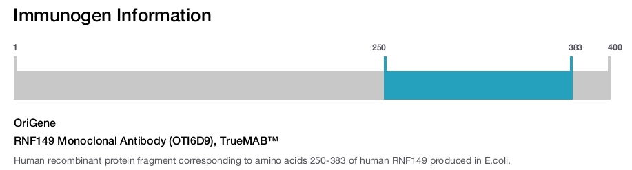 RNF149 Monoclonal Antibody (OTI6D9), TrueMAB&trade;