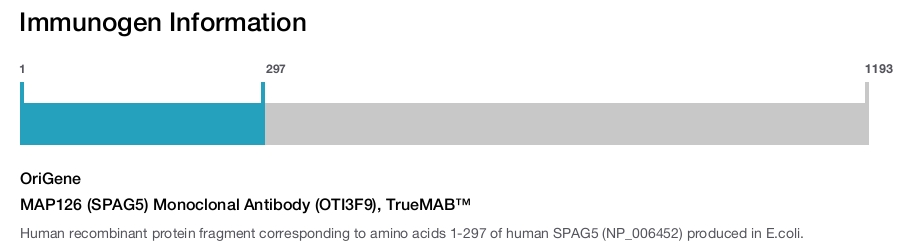 MAP126 (SPAG5) Monoclonal Antibody (OTI3F9), TrueMAB&trade;