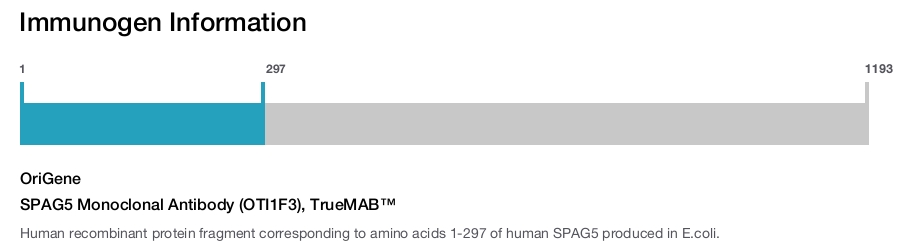 SPAG5 Monoclonal Antibody (OTI1F3), TrueMAB&trade;