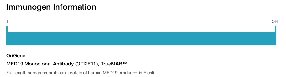 MED19 Monoclonal Antibody (OTI2E11), TrueMAB&trade;