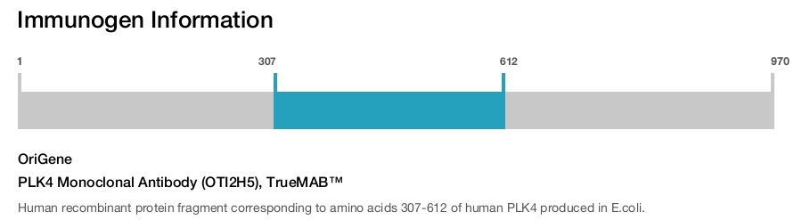 PLK4 Monoclonal Antibody (OTI2H5), TrueMAB&trade;