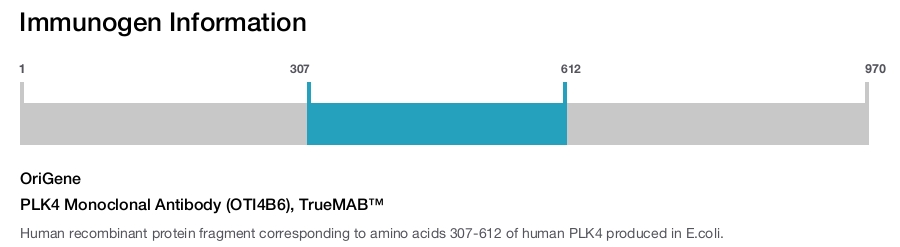 PLK4 Monoclonal Antibody (OTI4B6), TrueMAB&trade;