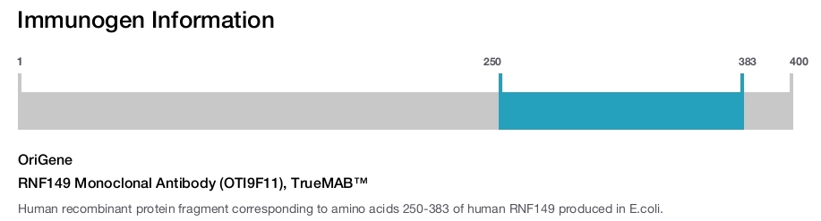 RNF149 Monoclonal Antibody (OTI9F11), TrueMAB&trade;