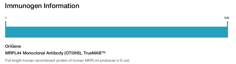 MRPL44 Monoclonal Antibody (OTI3H5), TrueMAB&trade;