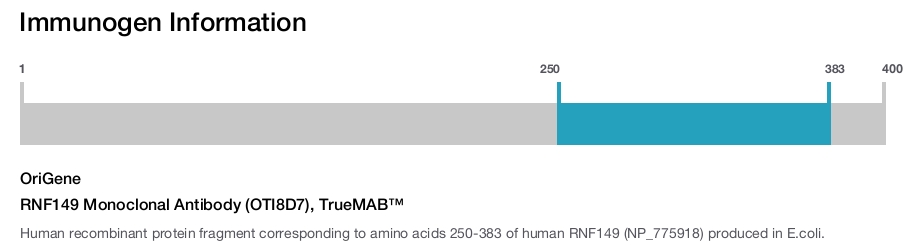 RNF149 Monoclonal Antibody (OTI8D7), TrueMAB&trade;