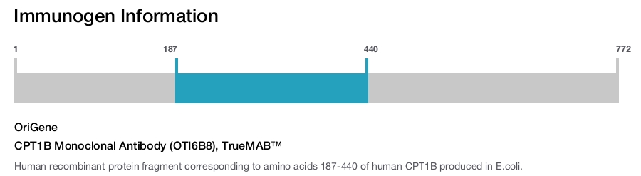 CPT1B Monoclonal Antibody (OTI6B8), TrueMAB&trade;