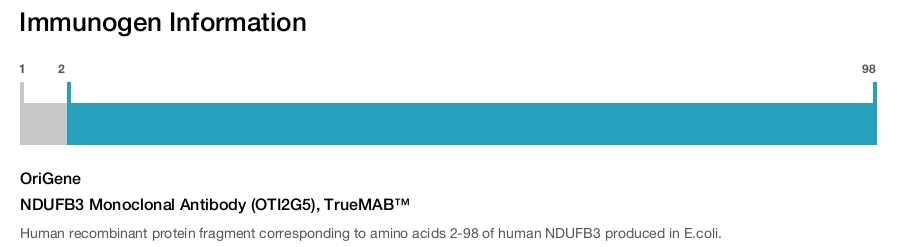 NDUFB3 Monoclonal Antibody (OTI2G5), TrueMAB™