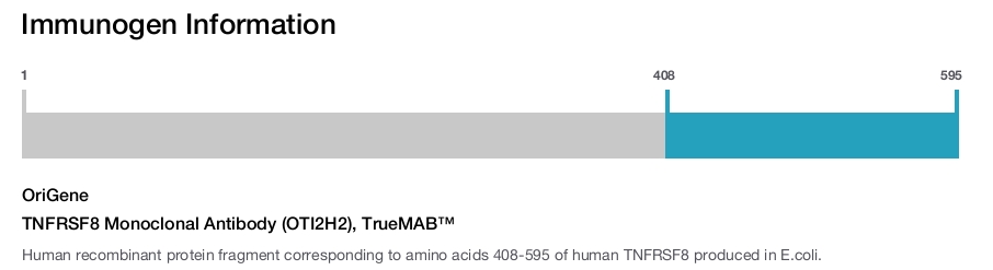 TNFRSF8 Monoclonal Antibody (OTI2H2), TrueMAB&trade;