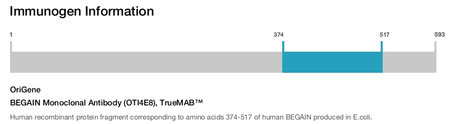 BEGAIN Monoclonal Antibody (OTI4E8), TrueMAB&trade;