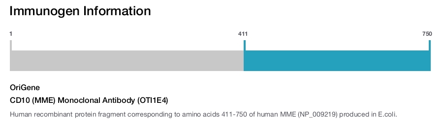 CD10 (MME) Monoclonal Antibody (OTI1E4)