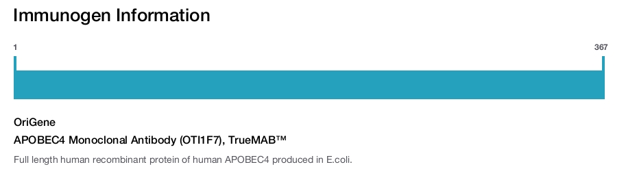 APOBEC4 Monoclonal Antibody (OTI1F7), TrueMAB&trade;