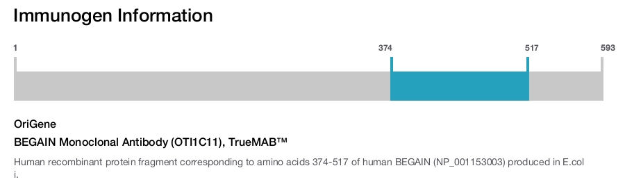 BEGAIN Monoclonal Antibody (OTI1C11), TrueMAB&trade;