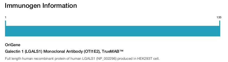 Galectin 1 (LGALS1) Monoclonal Antibody (OTI1E2), TrueMAB&trade;