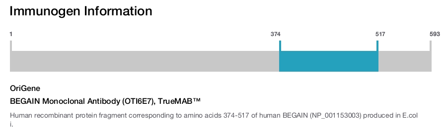 BEGAIN Monoclonal Antibody (OTI6E7), TrueMAB&trade;