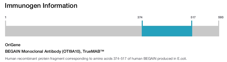 BEGAIN Monoclonal Antibody (OTI9A10), TrueMAB&trade;