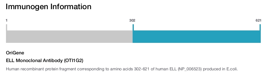 ELL Monoclonal Antibody (OTI1G2)