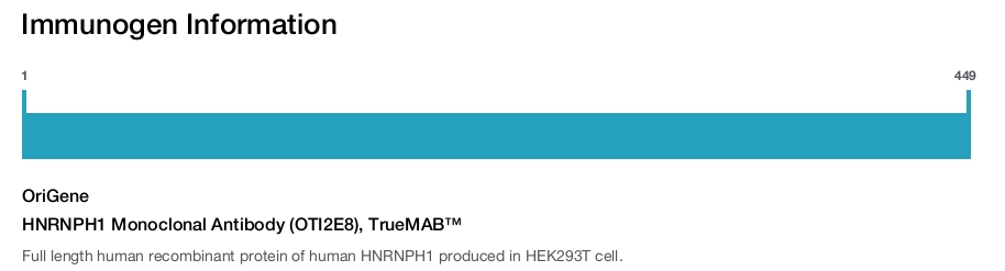HNRNPH1 Monoclonal Antibody (OTI2E8), TrueMAB&trade;