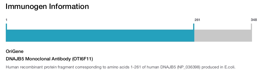 DNAJB5 Monoclonal Antibody (OTI6F11)