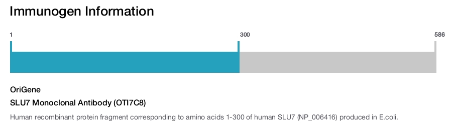 SLU7 Monoclonal Antibody (OTI7C8)